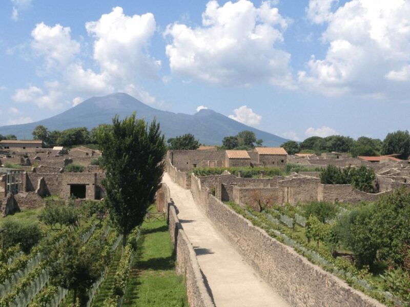 from-naples-pompeii-ruins-vip-guided-tour