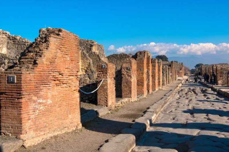 from-naples-pompeii-skip-the-line-guided-tour