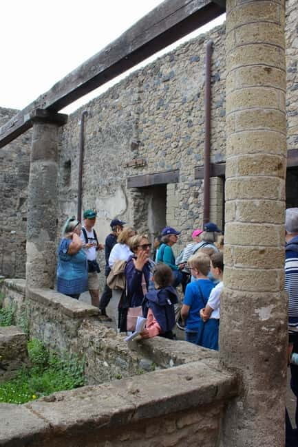 From Naples: Pompeii Tour with Guide, Driver & Ticket - The Sum Up