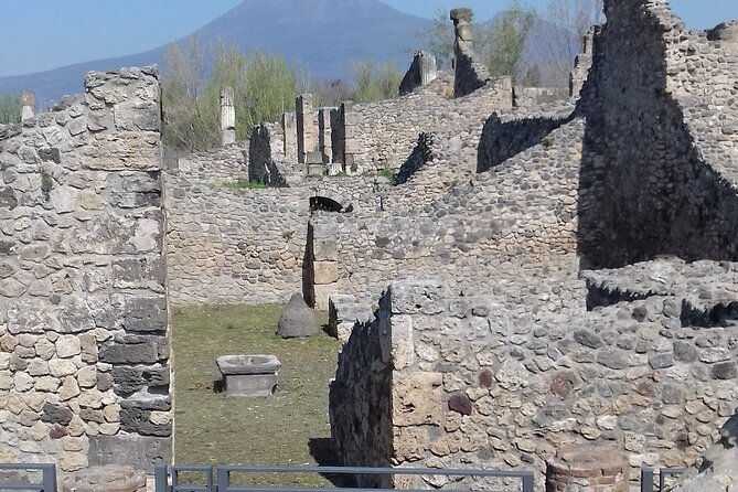 from-naples-pompeii-wine-tasting-private-day-tour