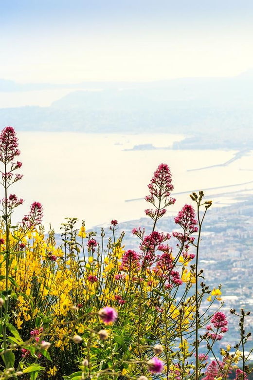 from-naples-port-pompeii-and-mt-vesuvius-day-trip