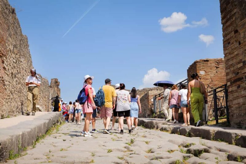 From Naples Port: Pompeii Guided Walking tour or Audioguide - The Sum Up