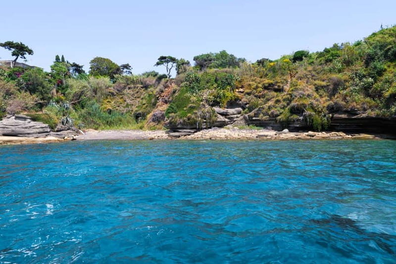 From Naples: Procida Transfer with Island Boat Tour - FAQ