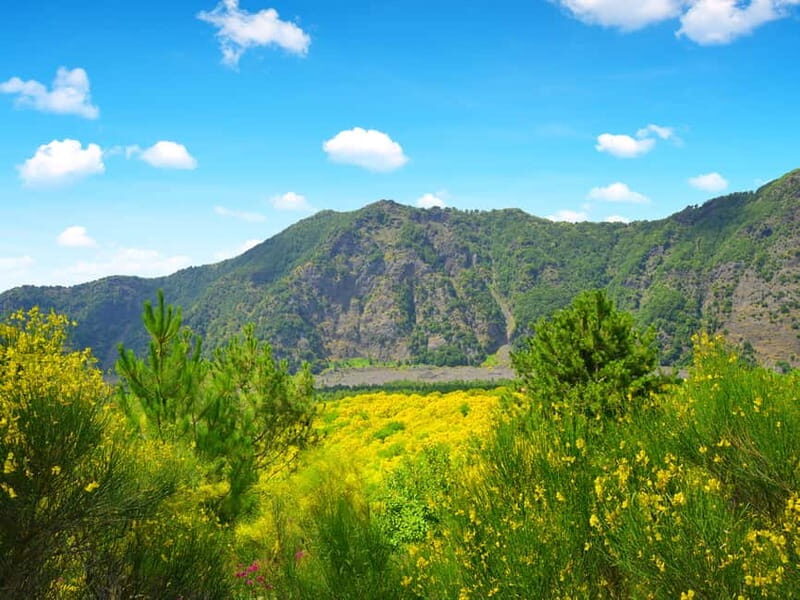From Naples: Vesuvius Easy Tour - Final Thoughts