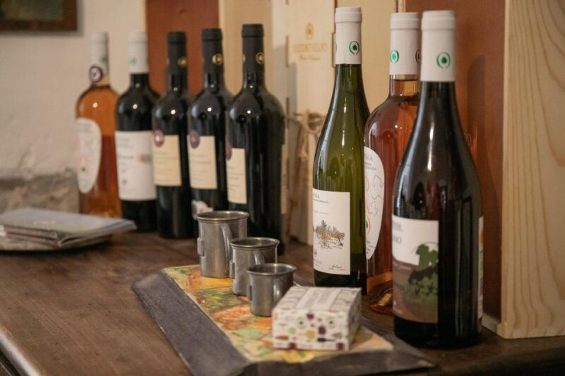 from-naples-wine-experience-and-visit-of-fontanarosa