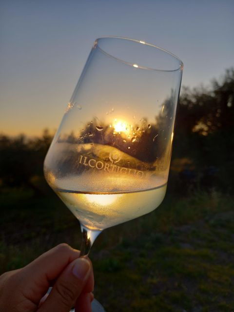 from-naples-wine-experience-and-visit-of-fontanarosa