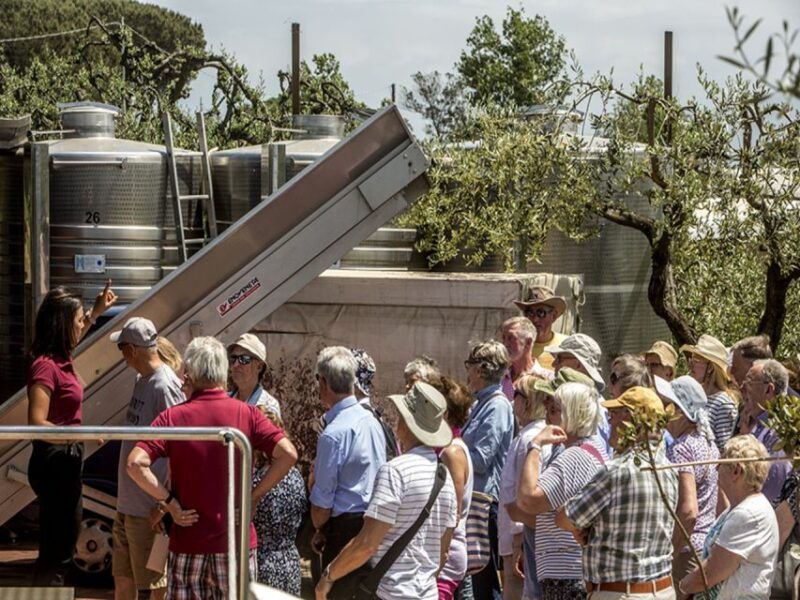 from-naples-wine-tasting-tour-on-vesuvius-slopes-with-lunch
