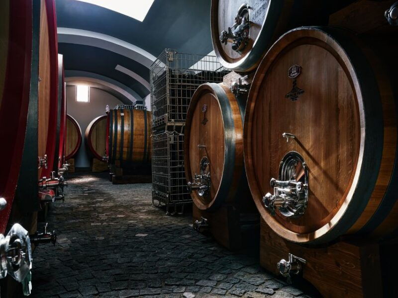 from-naples-wine-tasting-tour-on-vesuvius-slopes-with-lunch