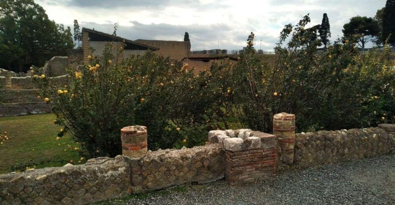 from-naples-with-2hr-stop-at-herculaneum-site-and-back