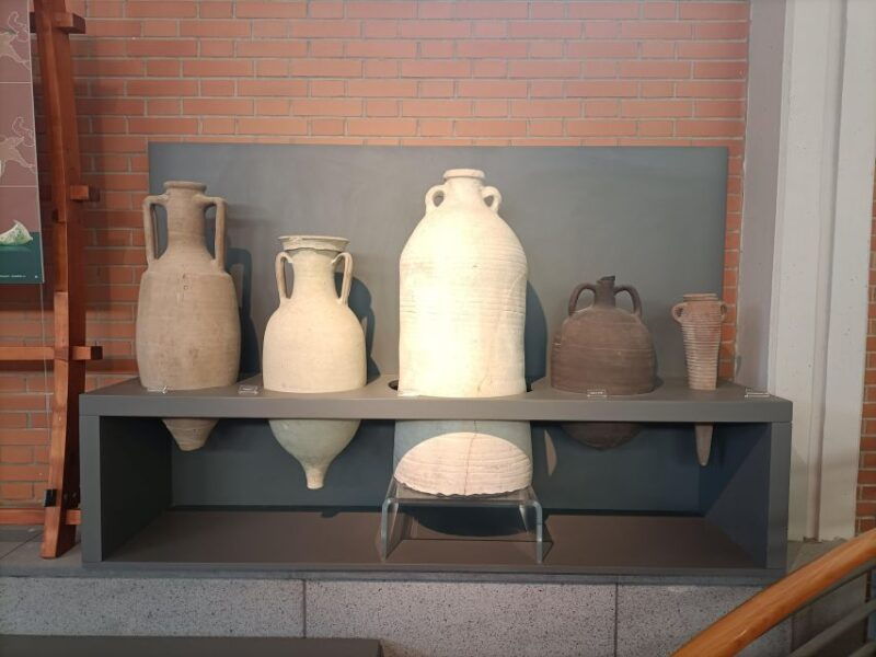 from-naples-with-2hr-stop-at-herculaneum-site-and-back