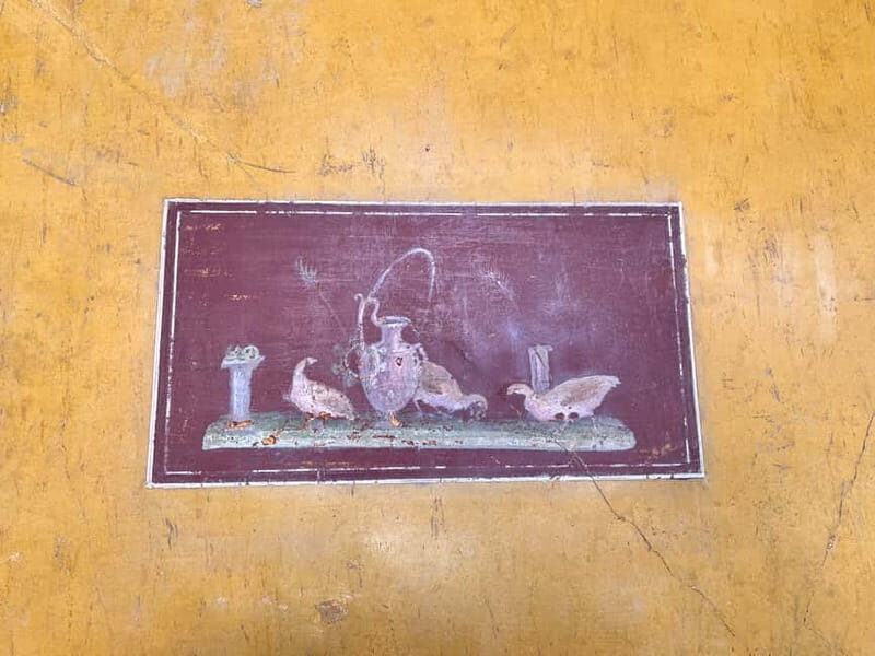 From Napoli: Driver and Skip the Line Guided Tour of Pompeii - Practical Tips and Considerations