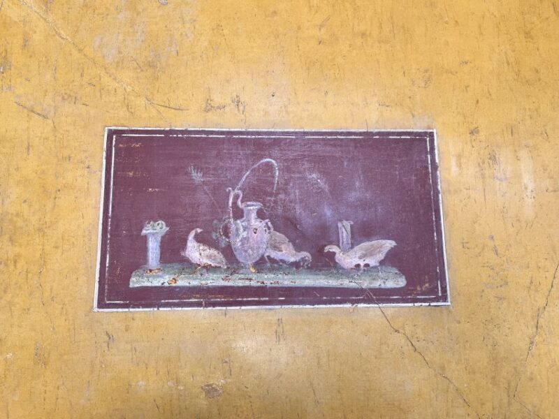 From Napoli: Driver and Skip the Line Guided Tour of Pompeii - Who Should Consider This Tour?