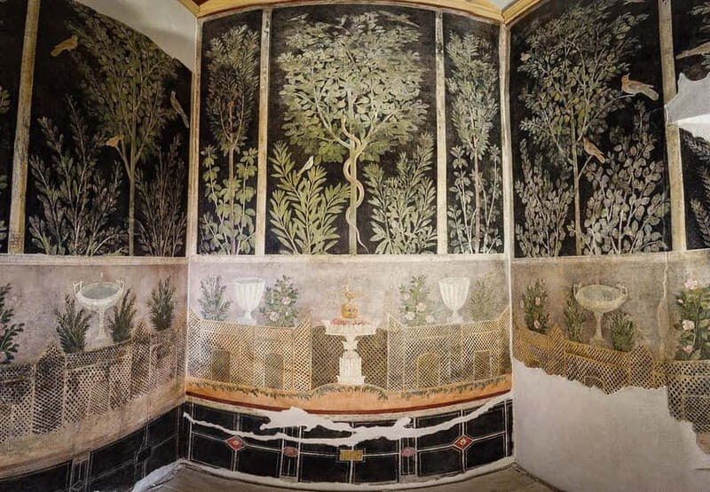 From Napoli: Driver and Skip the Line Guided Tour of Pompeii - Final Thoughts