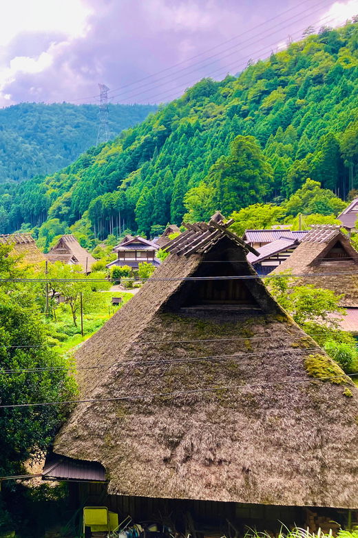 from-nara-kyoto-thatched-roof-village-private-car-tour