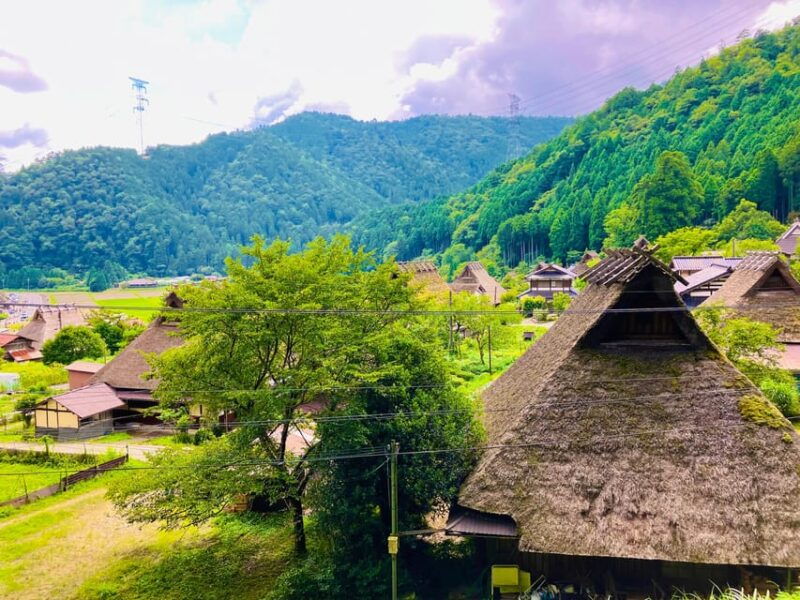 from-nara-kyoto-thatched-roof-village-private-car-tour