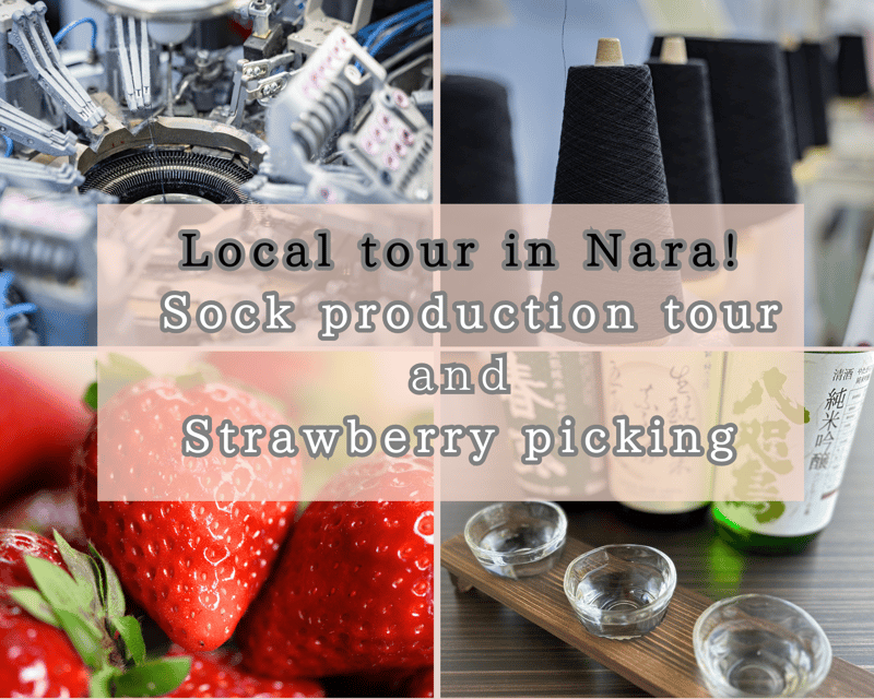 from-nara-sock-factory-tour-strawberry-picking-and-lunch
