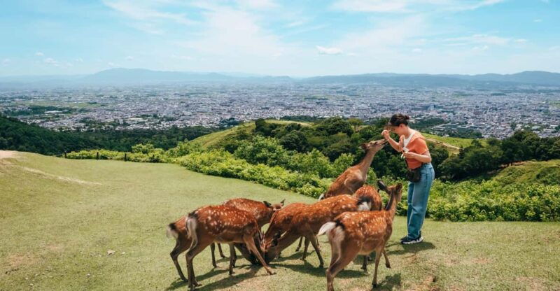 from-narahalf-day-bus-tour-to-unesco-heritagemt-wakakusa