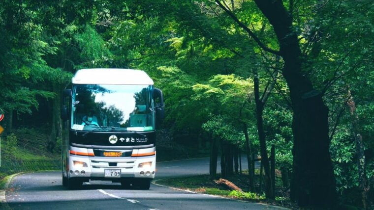 from-narahalf-day-bus-tour-to-unesco-heritagemt-wakakusa