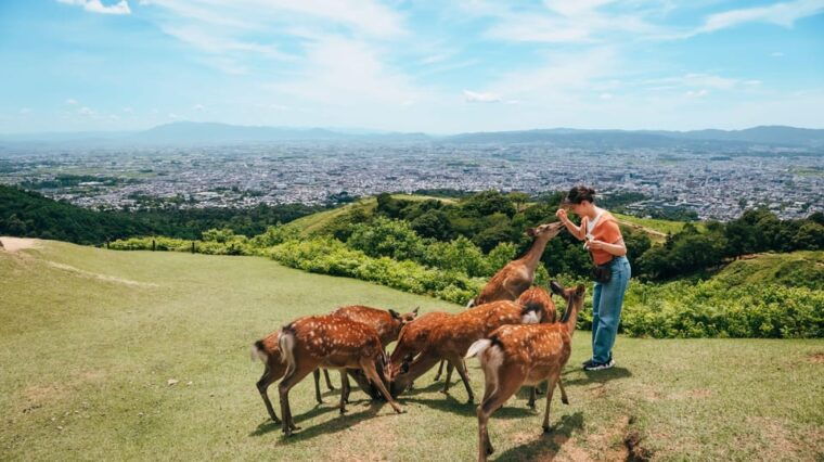 from-narahalf-day-bus-tour-to-unesco-heritagemt-wakakusa