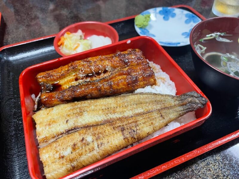 From Narita Airport: Private Layover or Transit Guided Tour - Who Will Love This Tour?