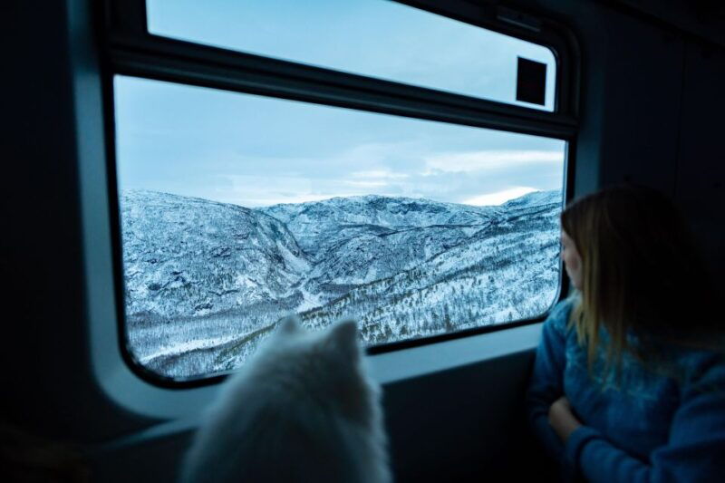 from-narvik-round-trip-arctic-train-ride-on-ofoten-railway