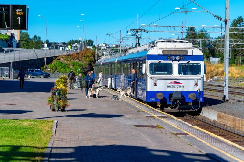 from-narvik-round-trip-arctic-train-ride-on-ofoten-railway