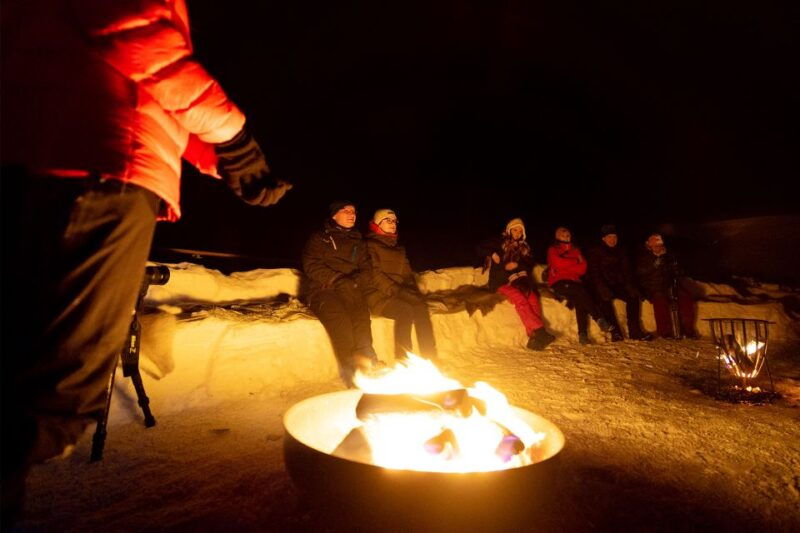 from-narvik-the-northern-lights-arctic-train-guided-tour