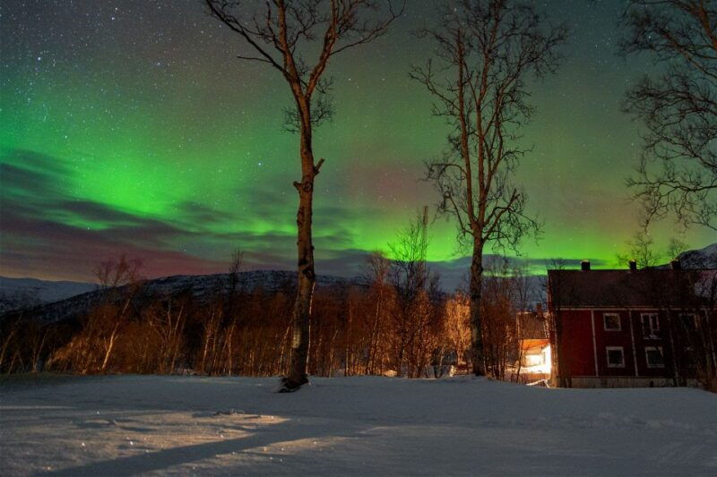 from-narvik-the-northern-lights-arctic-train-guided-tour