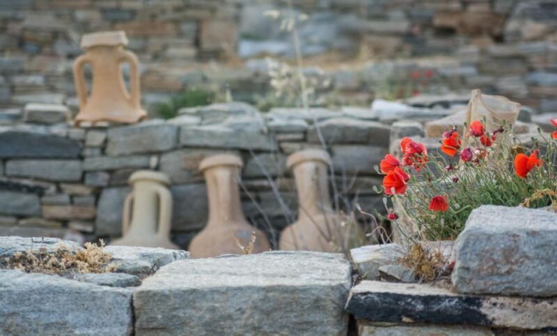 from-naxos-delos-and-mykonos-day-trip-with-licensed-guide