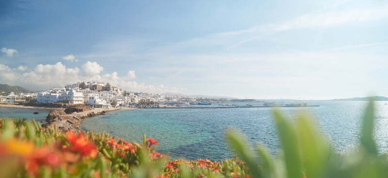 From Naxos: Delos and Mykonos Full-Day Trip by Catamaran - Key Points