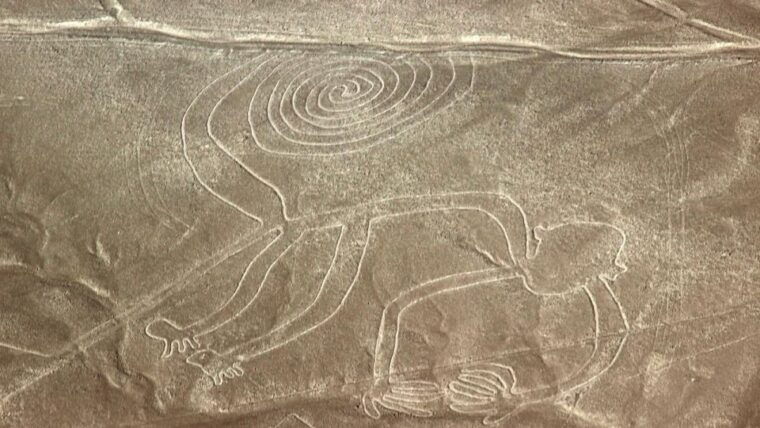 from-nazca-flight-in-a-light-aircraft-over-the-nazca-lines