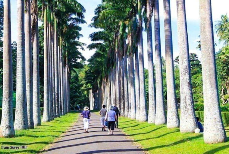 from-negombo-2-day-nuwara-eliya-kandy-waterfalls-tour