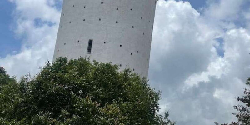 from-negombo-ambuluwawa-tower-tea-factorykandy-day-trip