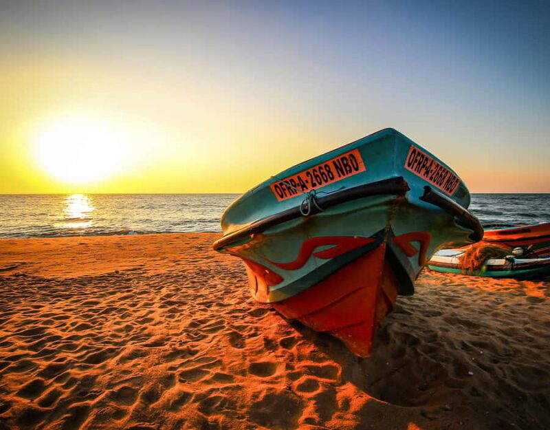 From Negombo: Negombo and Colombo Day Tour - Key Points