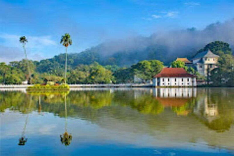 from-negombo-pinnawala-tea-factory-kandy-full-day-trip