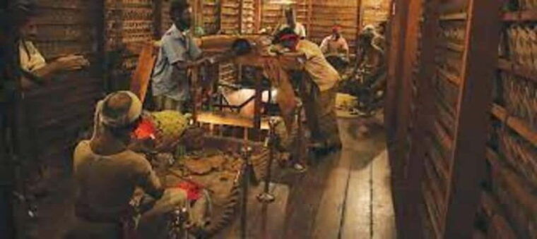 from-negombo-pinnawala-tea-factory-kandy-full-day-trip