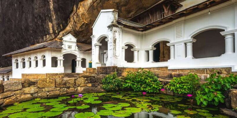 From Negombo: Sigiriya and Dambulla Day Trip and Safari - Who Should Consider This Tour?