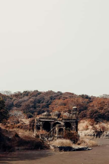 From New Delhi: 2-Day Ranthambore Tiger Safari with tranfers - From New Delhi: 2-Day Ranthambore Tiger Safari with Transfers — A Complete Review