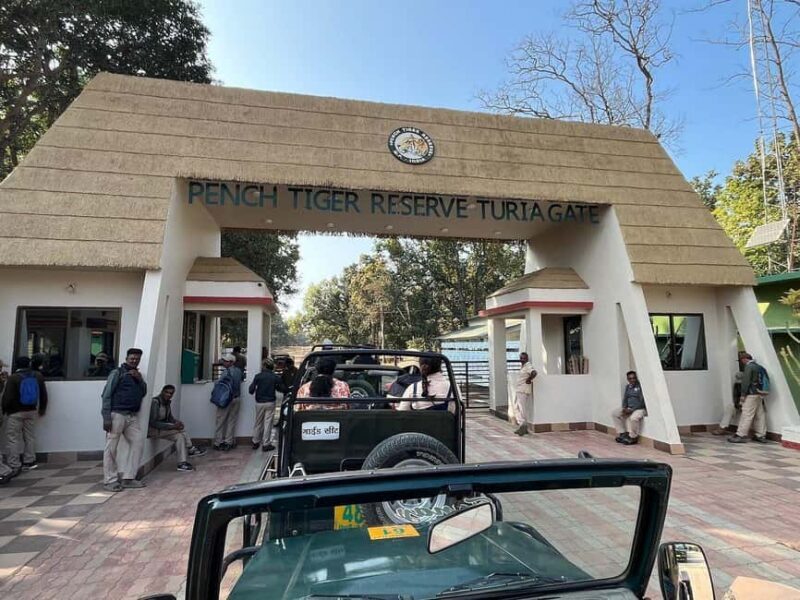 From New Delhi: 2-Day Ranthambore Tiger Safari with tranfers - Practical Details & Tips for Travelers