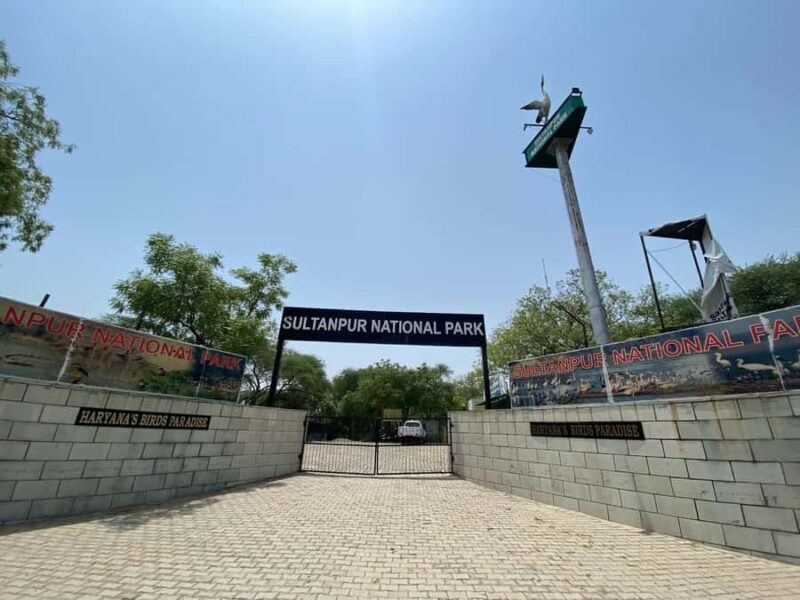 From New Delhi: Sultanpur National Park Day Tour by Car - Final Thoughts