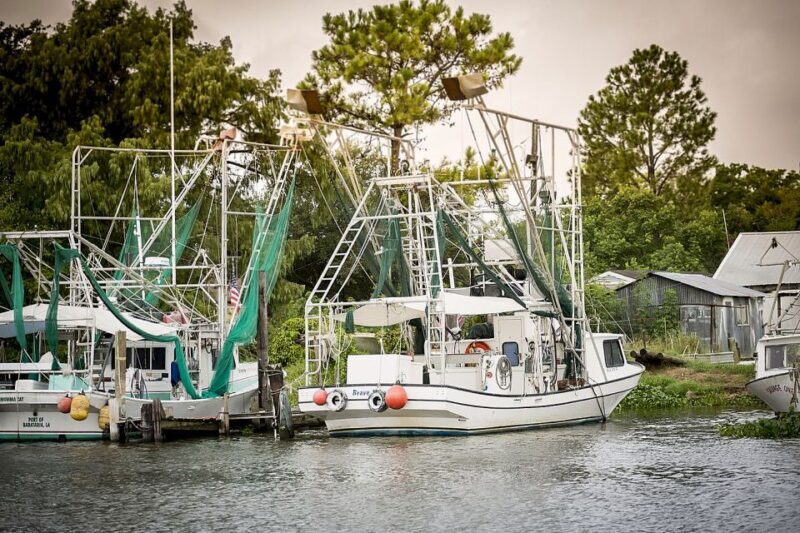 From New Orleans: Airboat Adventure Tour with Transportation - The Sum Up