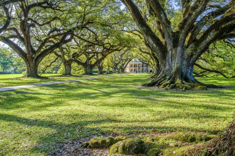 from-new-orleans-whitney-plantation-ticket-transportation