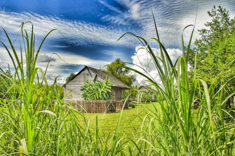 from-new-orleans-whitney-plantation-ticket-transportation