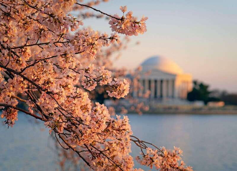 From New York: 7-Day Guided East Coast Cities & Sites Tour - Authentic Traveler Insights