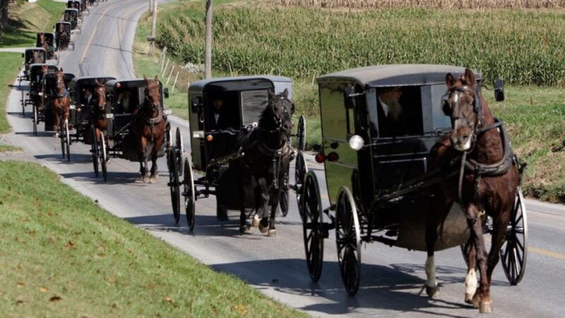from-new-york-city-philadelphia-amish-community-day-trip