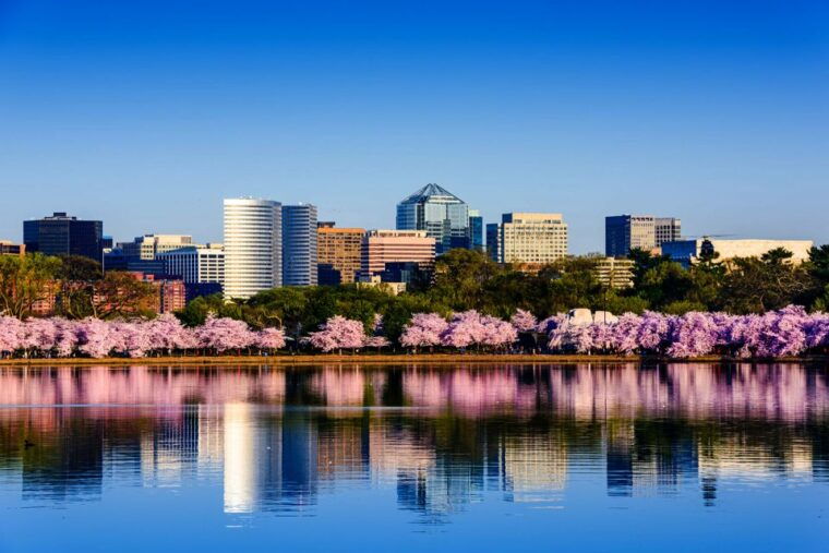 from-new-york-city-washington-and-philadelphia-1-day-tour
