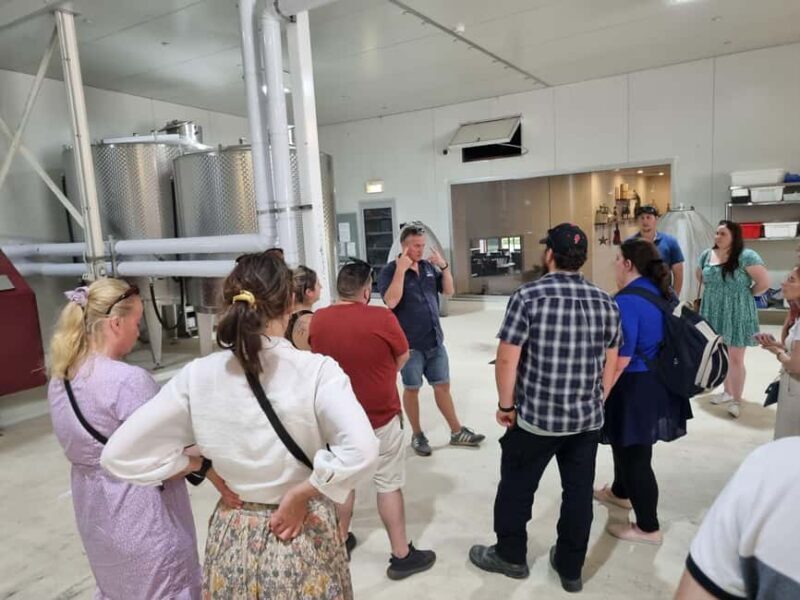 From Newcastle: Hunter Valley Beer & Wine Group Tour - Introduction