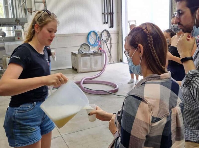 From Newcastle: Hunter Valley Beer & Wine Group Tour - Final Thoughts