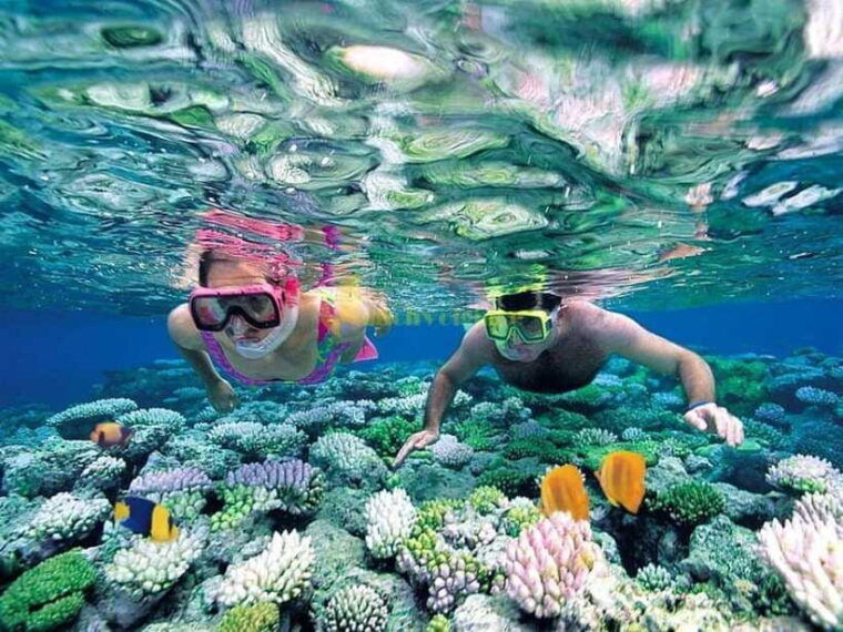 from-nha-trang-3-island-deluxe-tour-with-lunch