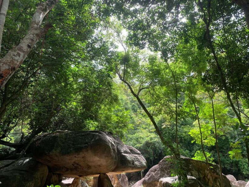from-nha-trang-ba-ho-waterfall-and-countryside-tour